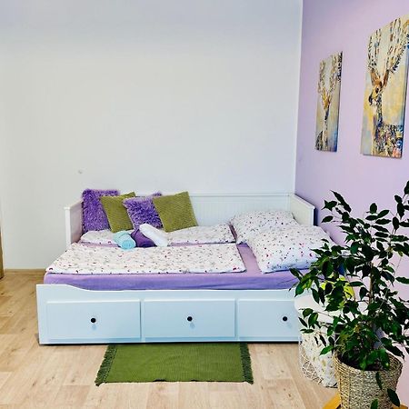 Garsonka Ve Dvore Dvůr Králové nad Labem Exteriör bild